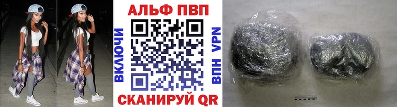 Купить закладки  Вытегра  Alpha PVP СК КРИС 