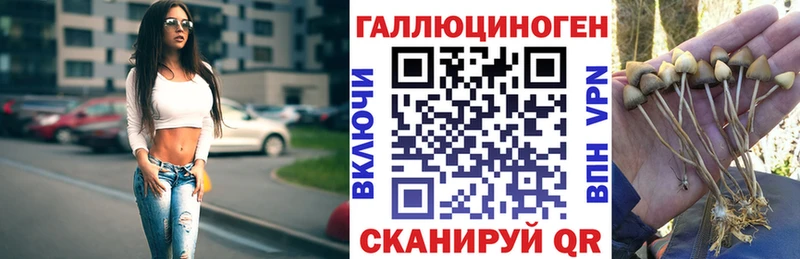 Купить где  Вытегра  Галлюциногенные грибы Magic Shrooms 